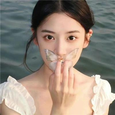 快乐的小鸡